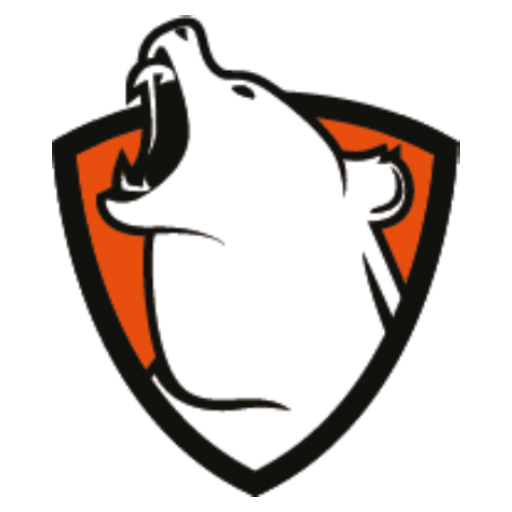 Nanok Logo